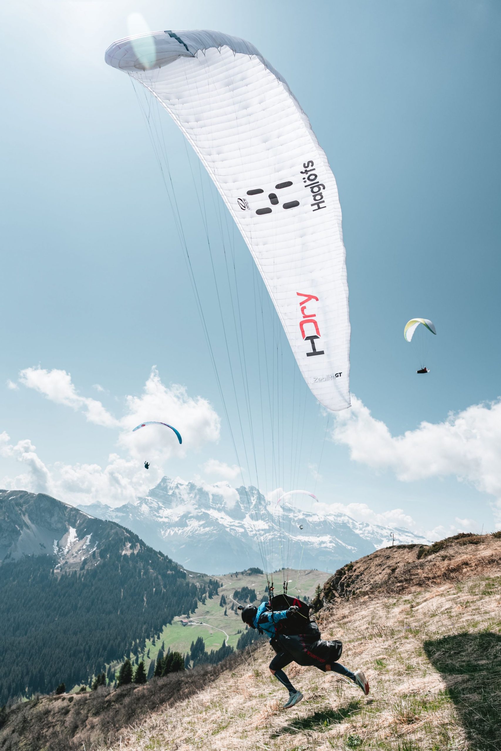 DSC03303-copy-c-yanislasbat-min